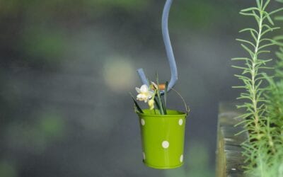 Deel 4 van de React Hooks serie useMemo & useCallback